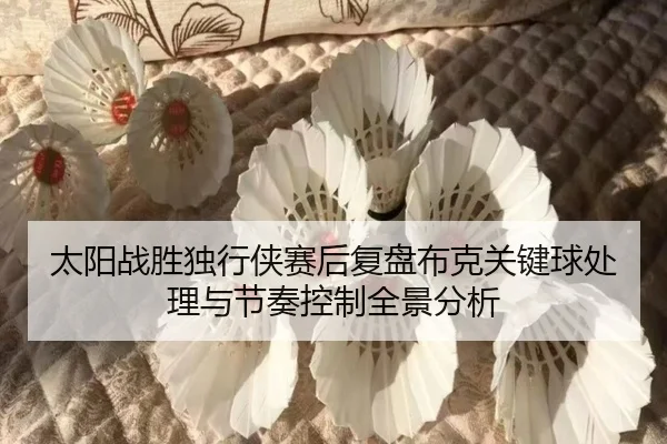 太阳战胜独行侠赛后复盘布克关键球处理与节奏控制全景分析