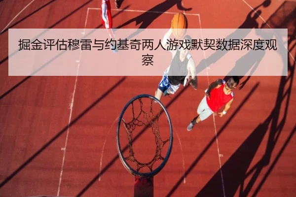 掘金评估穆雷与约基奇两人游戏默契数据深度观察